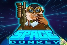 Space Donkey