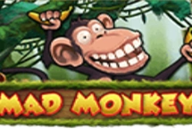 Mad Monkey