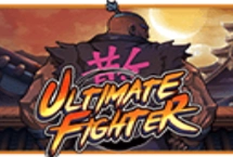 Ultimate Fighter